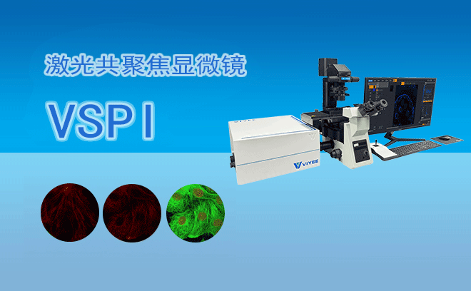 激光共聚焦显微镜的观察模式有那些